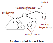 Anatomy of a binary tree