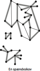 A spanning forest